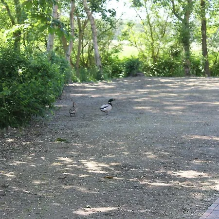 1 Im Boehler Haubarg * Sankt Peter-Ording